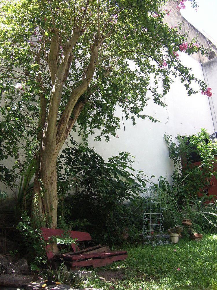 La Lechuza Hostel Rosario Ngoại thất bức ảnh
